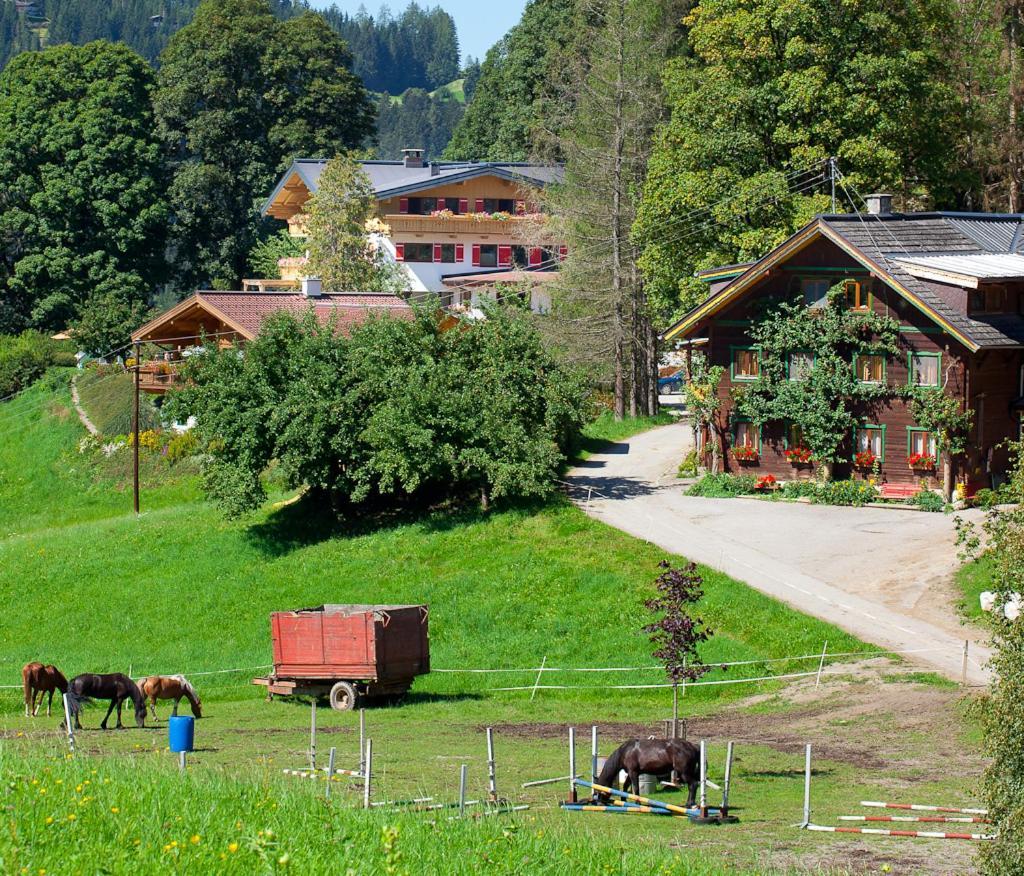 Zauchtaler Hof Hotel Altenmarkt im Pongau Kültér fotó